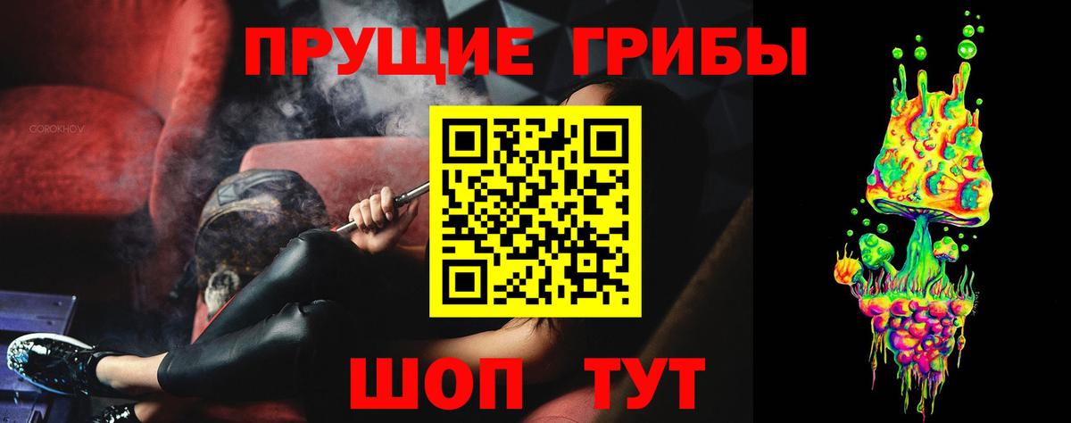 Галлюциногенные грибы Cubensis  Вход с VPN  Нижнекамск 